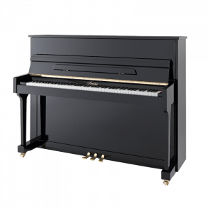 03_P118 Irmler-min Irmler P 118 Noir Neuf LOA