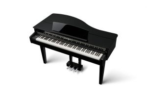 Kawai DG30