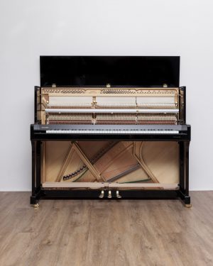 235_1 Rönisch 118 K EXPO