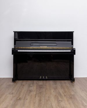 240_1 Blüthner Model C LC