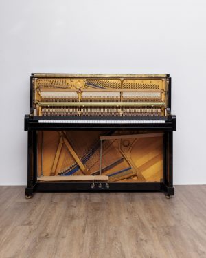 242_1 Blüthner Model C LC