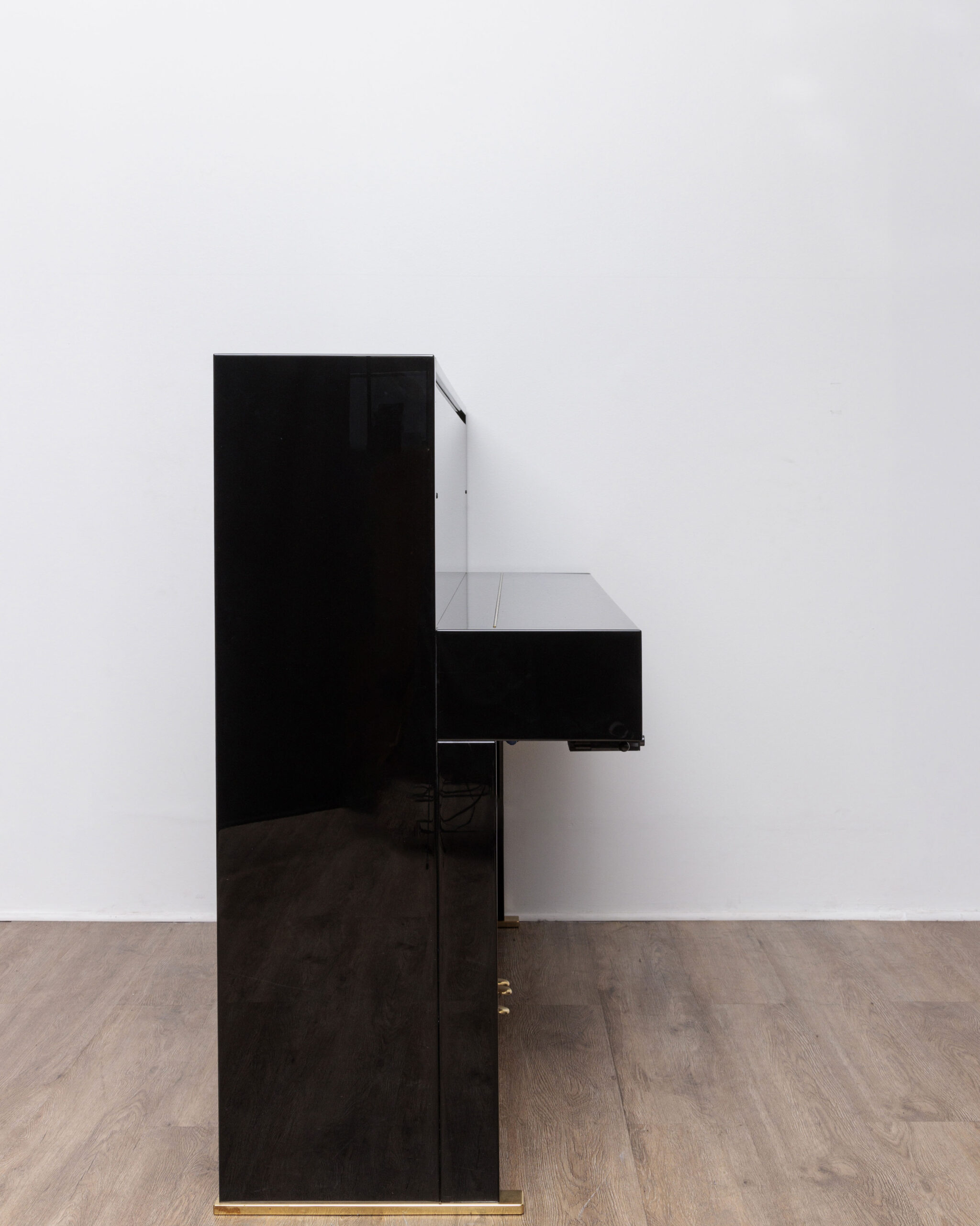 295_1 C.Bechstein Millenium Silence