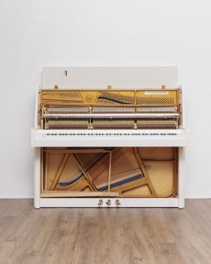 306_1 Schlogl 118 Moderna