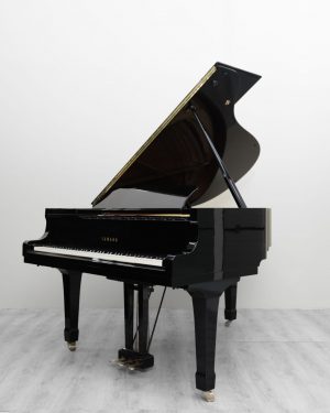 323_1 (2) Yamaha GH1B