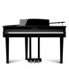 5 Kawai DG30