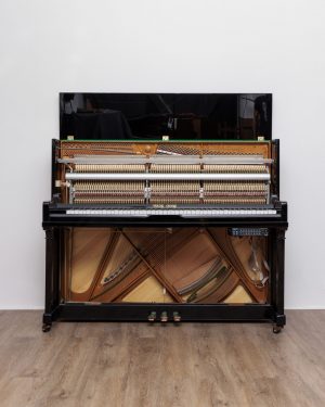 61_1 Young Chang 118 C silence