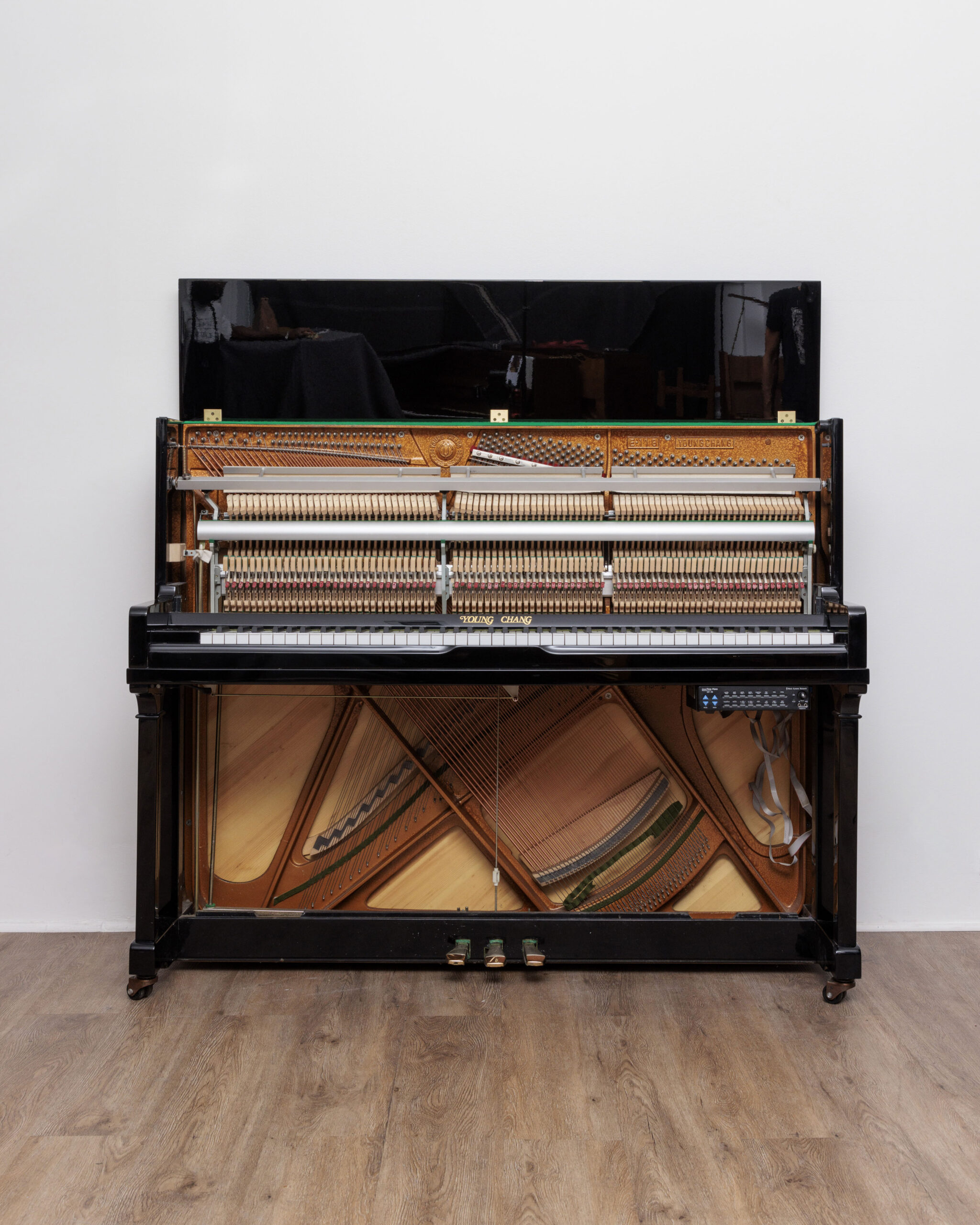 61_1 Young Chang 118 C silence