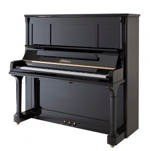 B9ObxQ0E Blüthner Model S LC