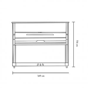 Blüthner Haessler HB 116-Face Blüthner Haessler HB 116