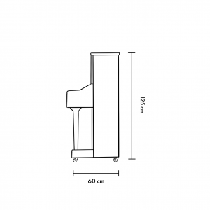 Blüthner Haessler HB 125
