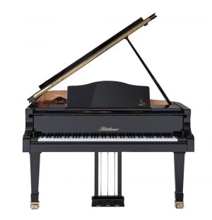 CplfQK50 Blüthner Model 4 LC NB