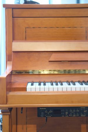 DSCF7578 Pleyel P 124 Silence