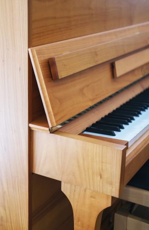 DSCF7638 Calisia Sarabande