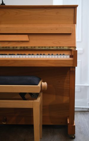 DSCF7641 Calisia Sarabande