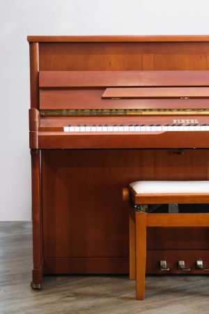 DSCF7655 Pleyel P118