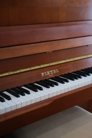 DSCF7678 Pleyel P118