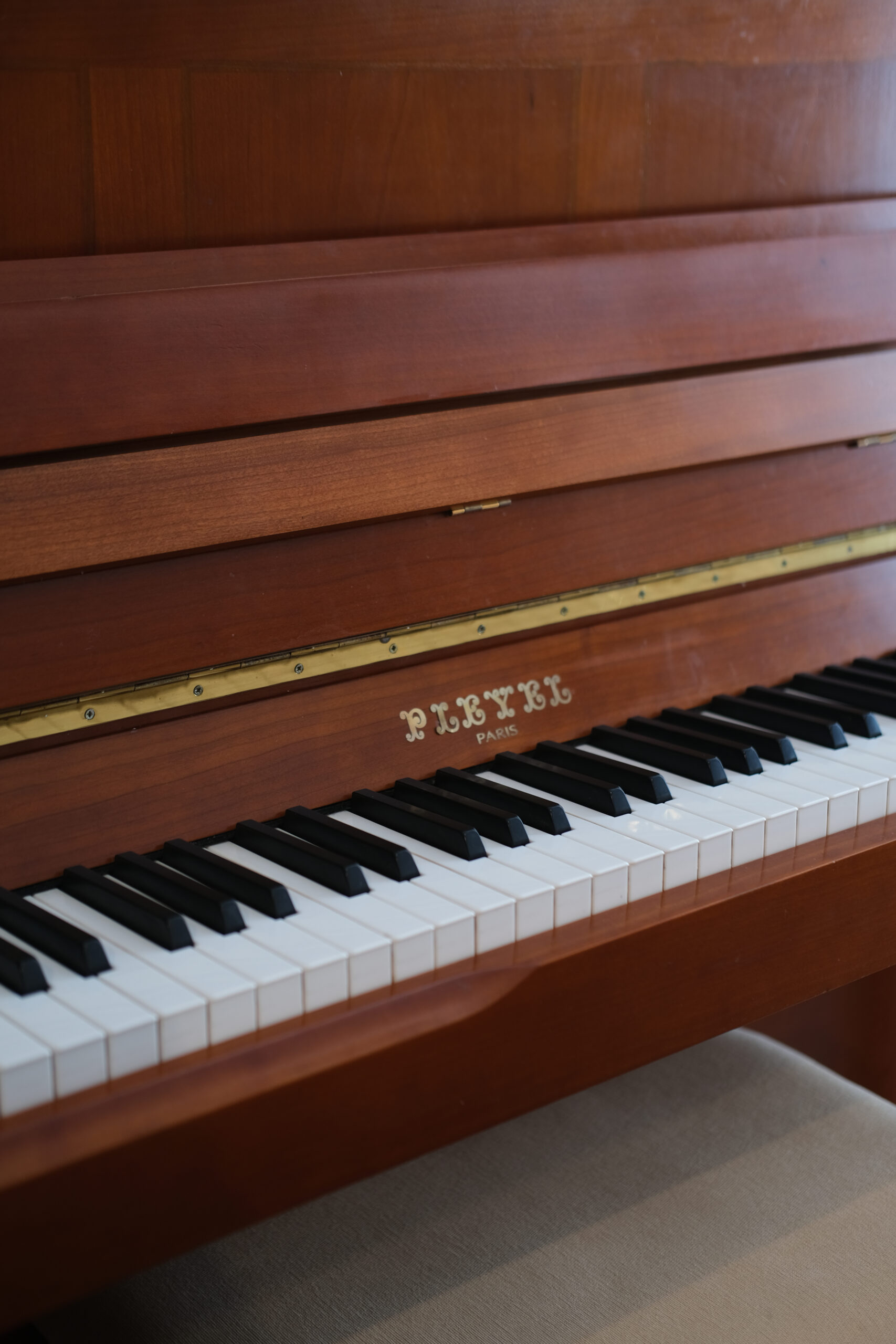DSCF7678 Pleyel P118