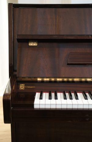 DSCF7779 Seiler 118M