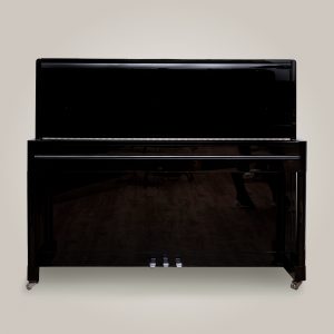 EXPRESSIONS NEUFS LM-fermé-dppianos