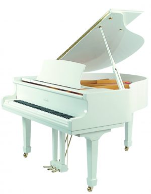 F148_wp_dppianos.fr jpg