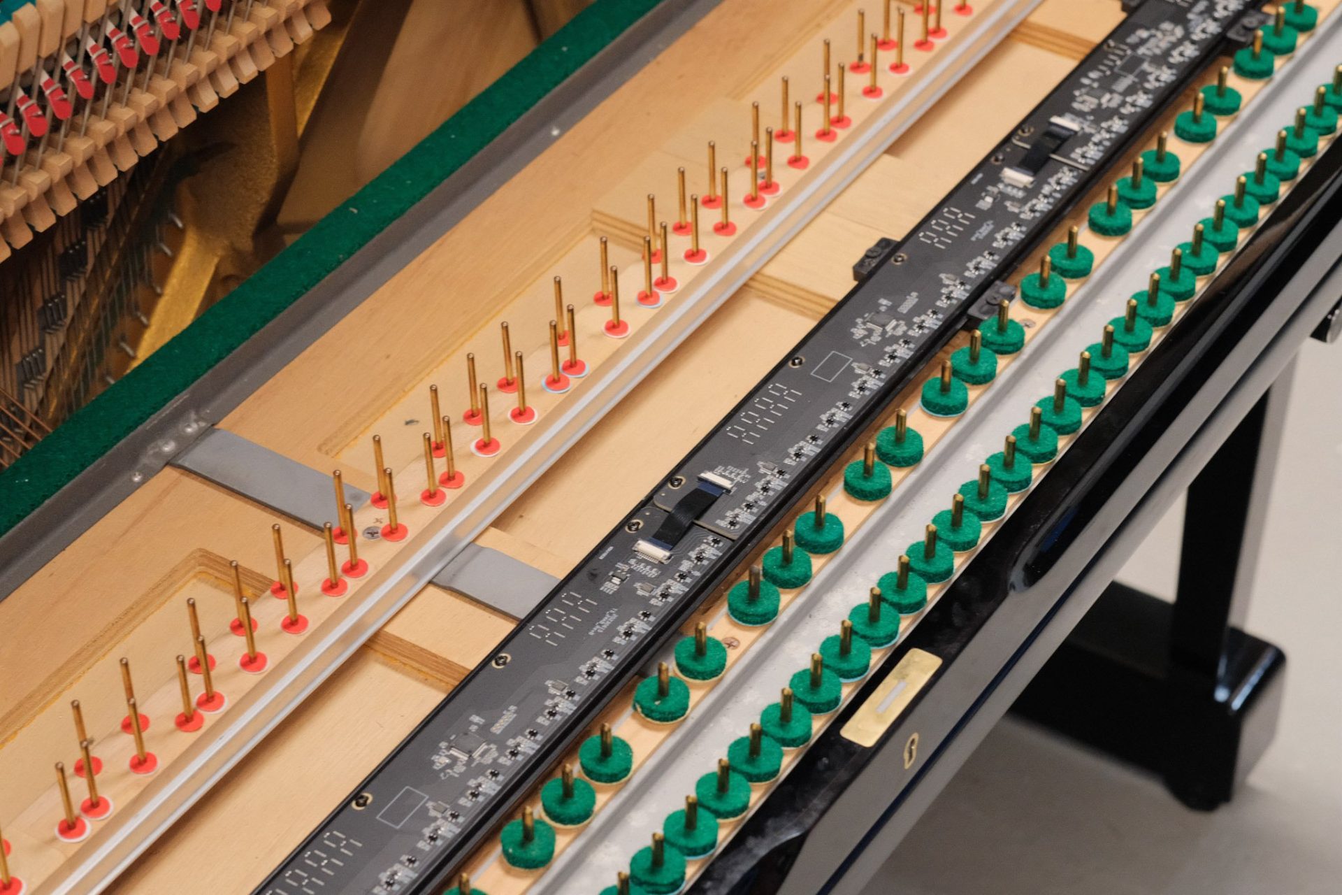 IMG_1506 Kioshi V2 Droit Silencieux