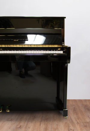 Royal-quart.DP Royale DU 11T