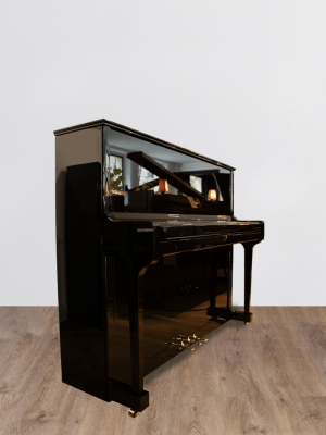 Seiler-fermé-DP Seiler 122 Konsole