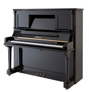 Y0_FUsHo Blüthner Model S LC