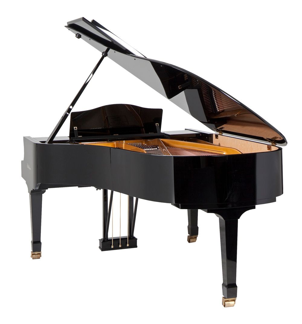 Z6rp3T1k Blüthner Concert Model 1 LC