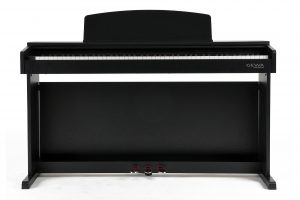 bk front Gewa DP 300