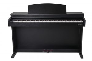 bk front Gewa DP 345