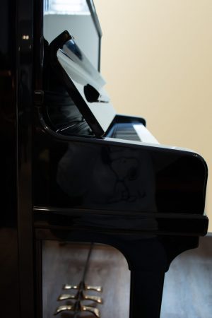 coté-schimmel Schimmel 130 C Tradition