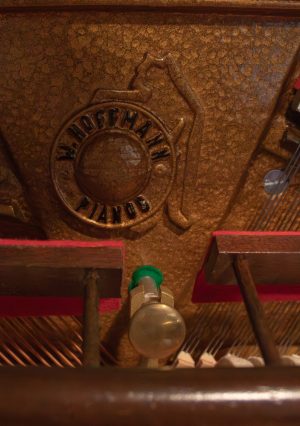 Hoffmann 120T Langlaü