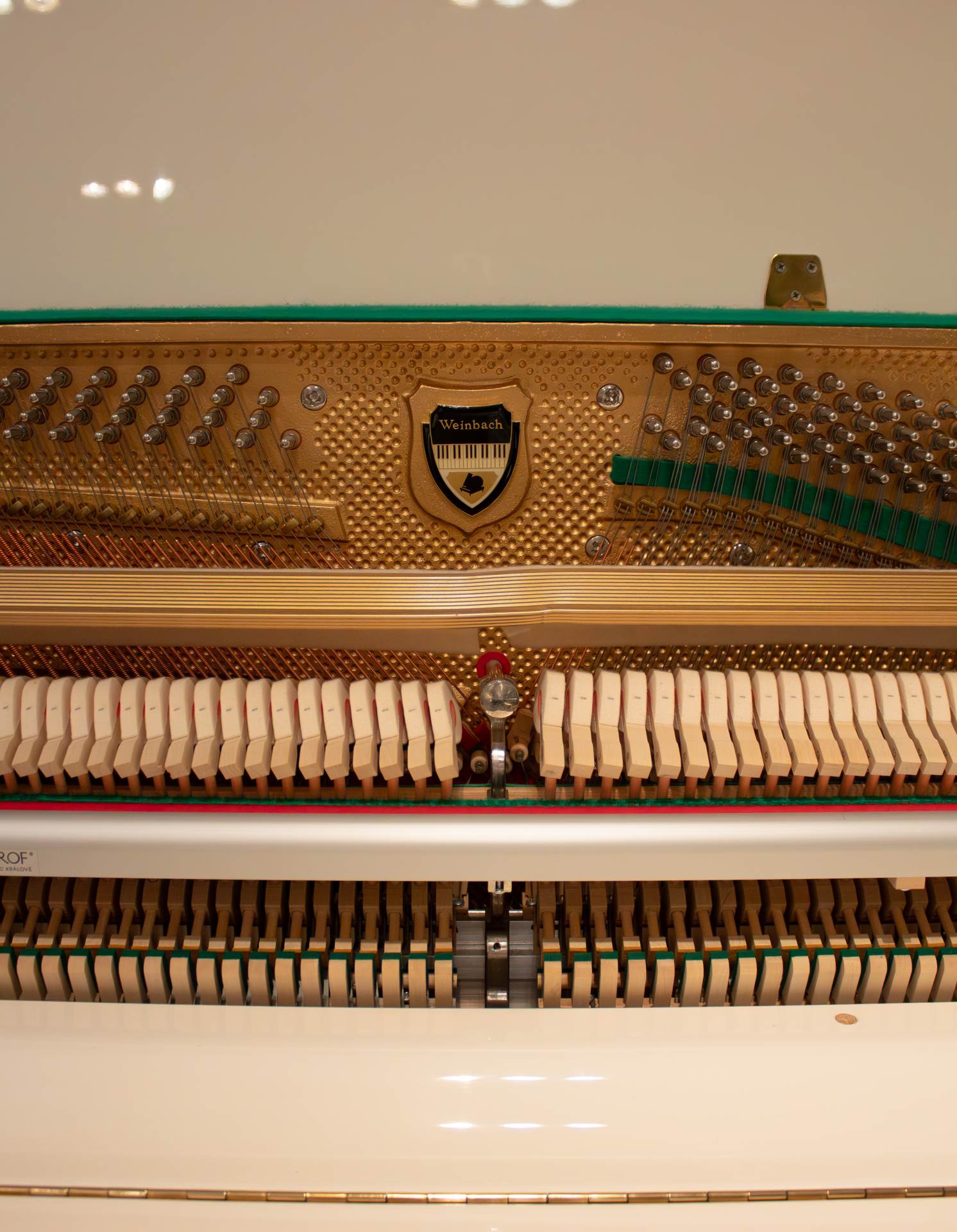 détails.weinbach Weinbach 118 P1 Renner