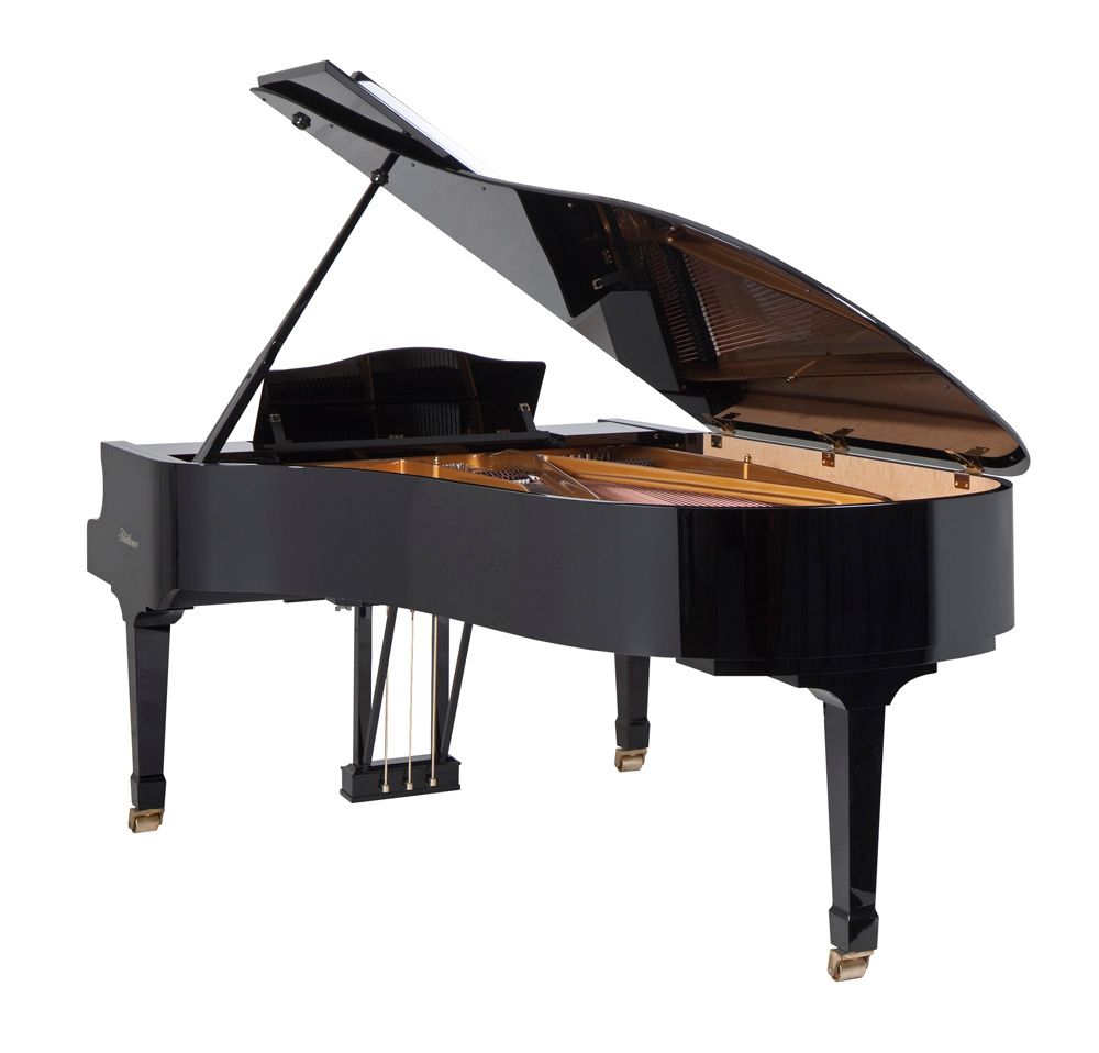 e5fKzXgs Blüthner Model 4 LC NB