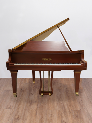 face-pleyel.DP Pleyel Schimmel Vendôme