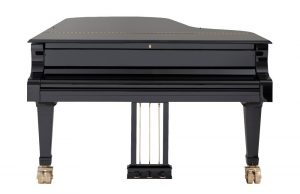 fzPXpy44 Blüthner Concert Model 1 LC