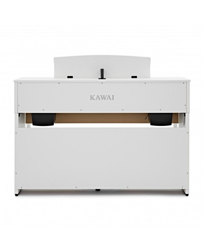 Kawai CA-501