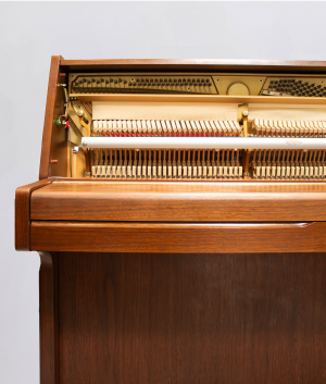 ouvert-magne.DP Magne 115 M