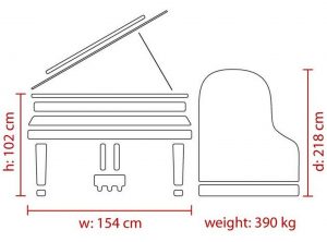 dimensions_218_web Feurich 218 Concert I