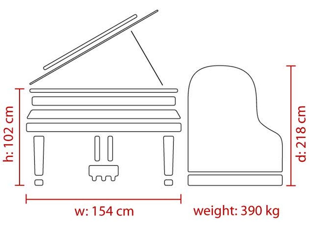 dimensions_218_web Feurich 218 Concert I