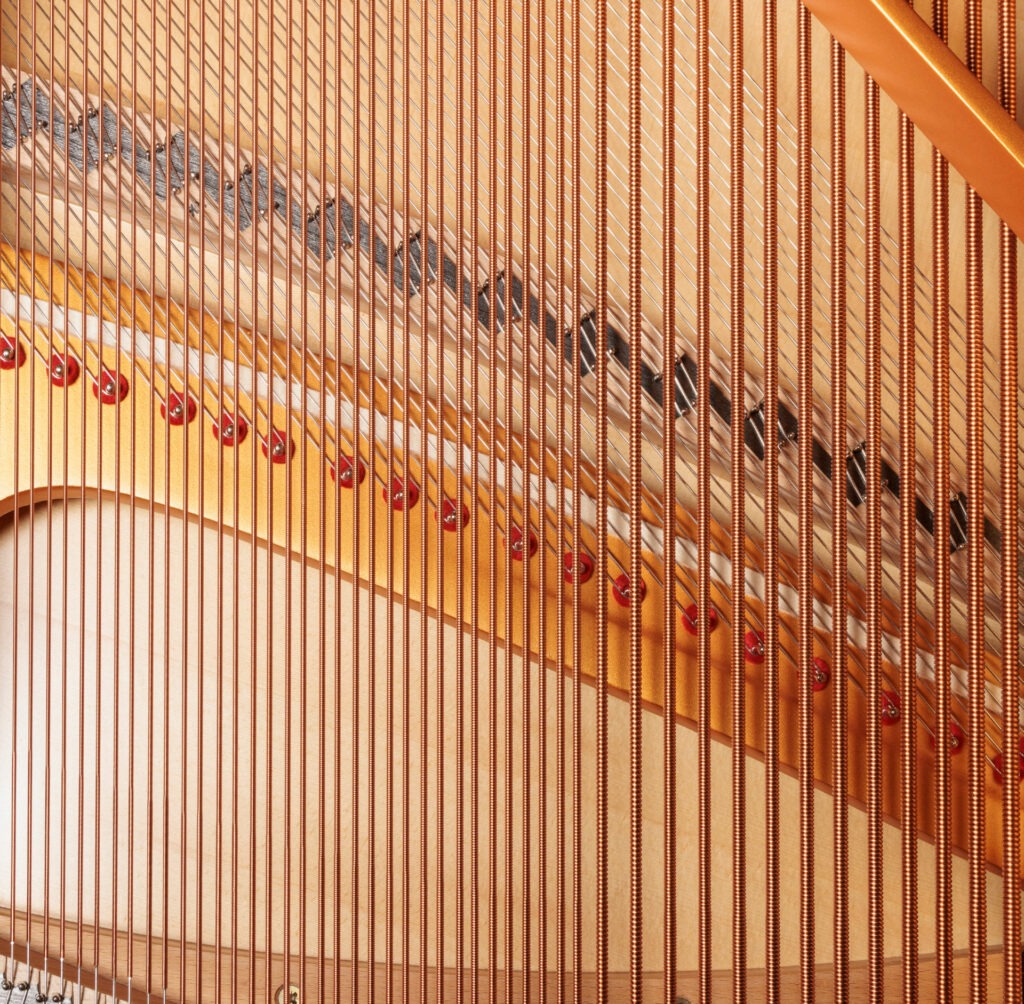 Cordes et table d'harmonie d'un piano à queue