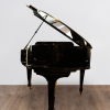 Steinway-dos Steinway & Sons 0