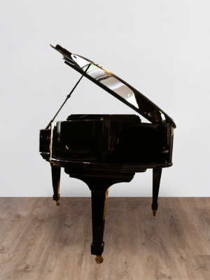 Steinway-dos Steinway & Sons 0