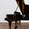 Steinway-profil.DP Steinway & Sons 0