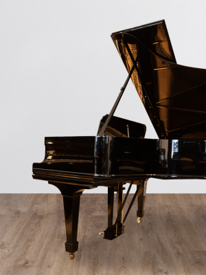 Steinway-profil.DP Steinway & Sons 0