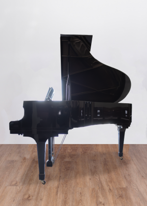 coté-kawai.DP Kawai KG2