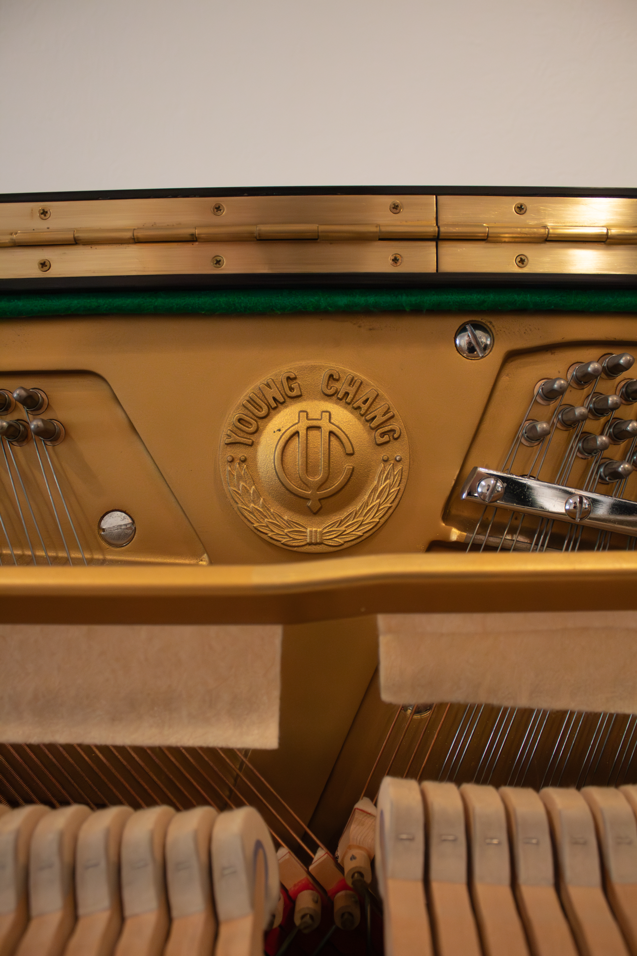 détail.chang.DP Young Chang U121