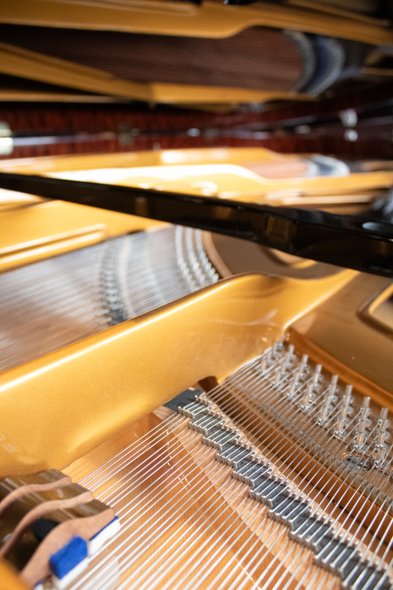 Blüthner Concert 1 Expo