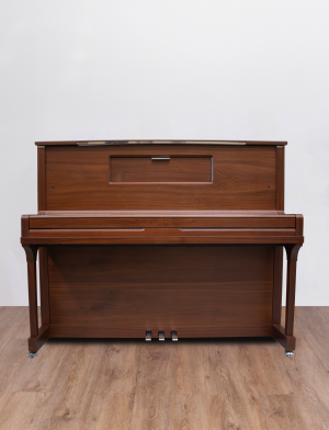 Feurich 123 Vienna Expo